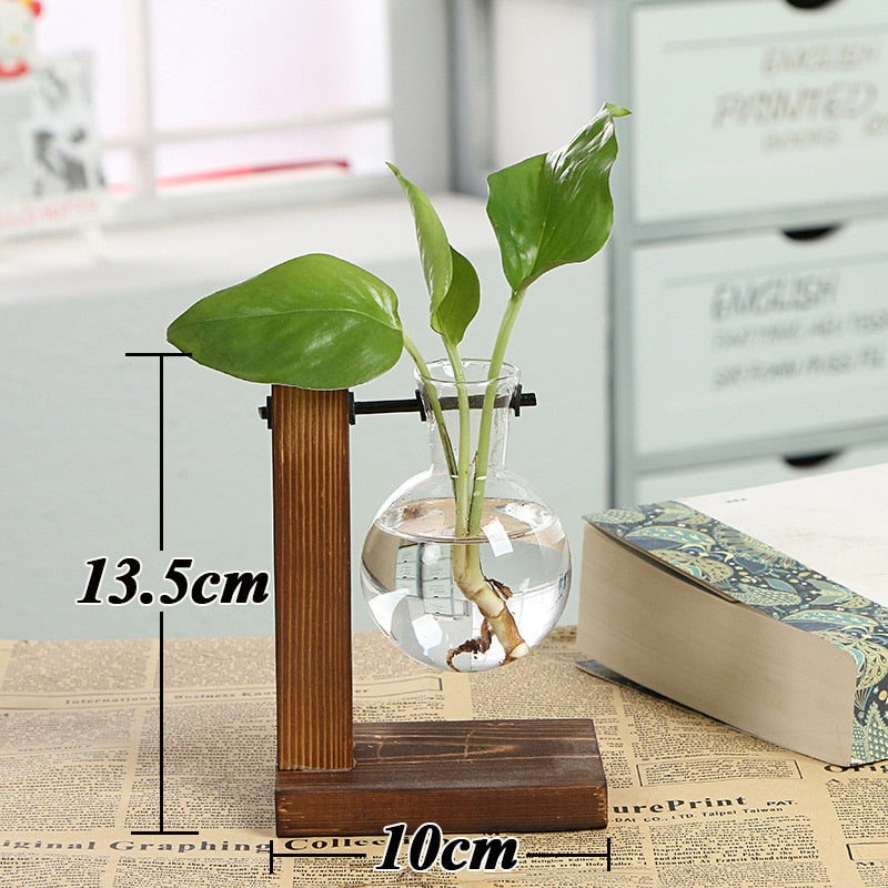 Terrarium Hydroponic Vase