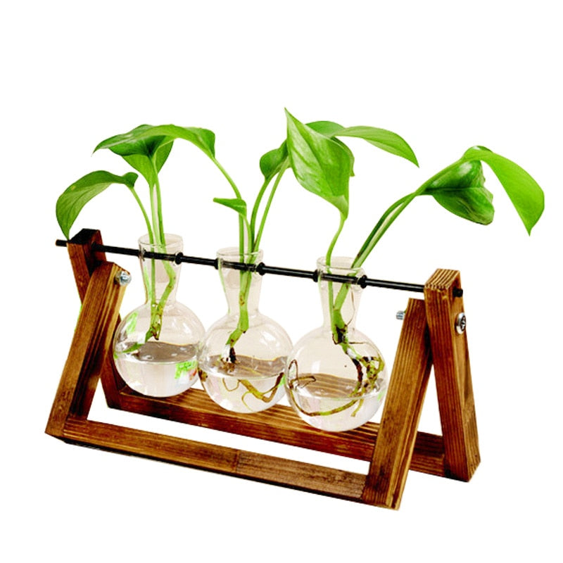 Terrarium Hydroponic Vase